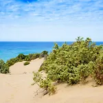 فندق Tartheshotel جوسبيني
