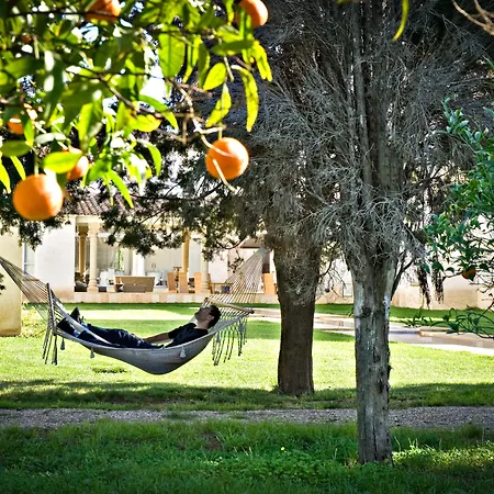 Hotel Tartheshotel Guspini